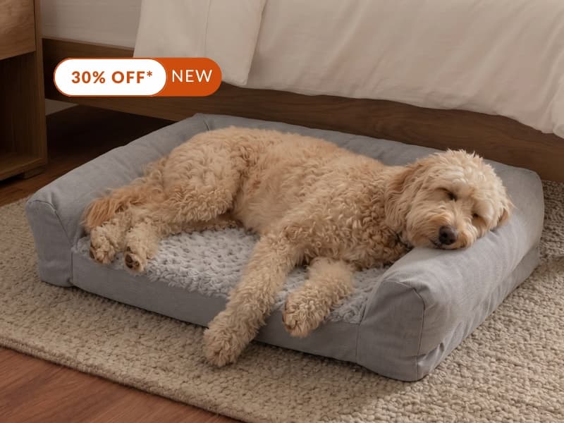 30% OFF* NEW Plush Bolster Pet Bed  