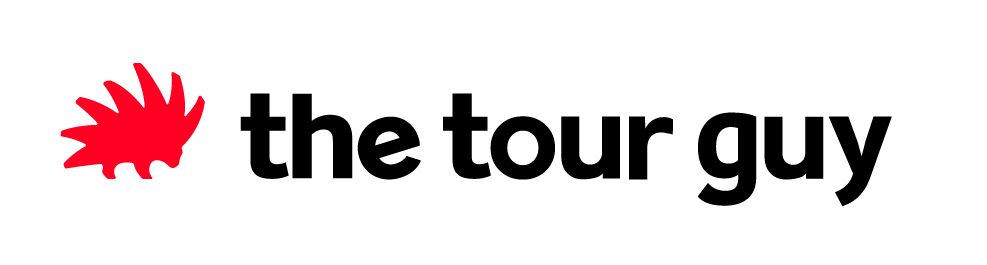 the tour guy logo