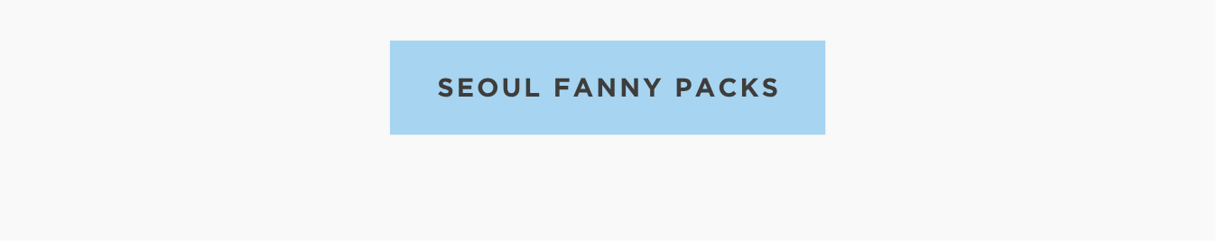Seoul Fanny Pack