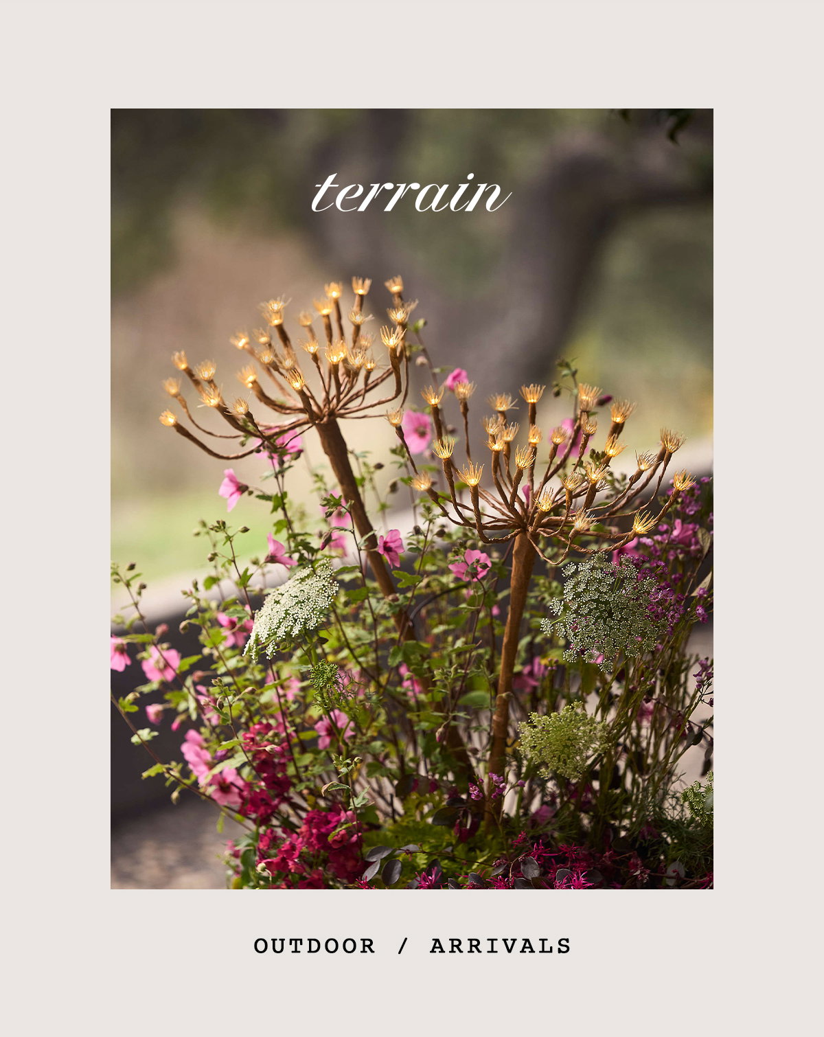 terrain, outdoor arrivals