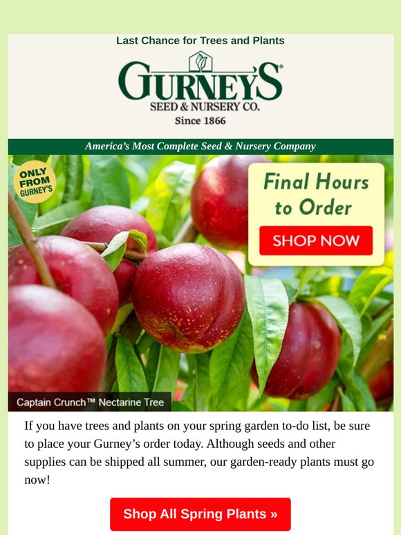 Order spring plants by midnight!