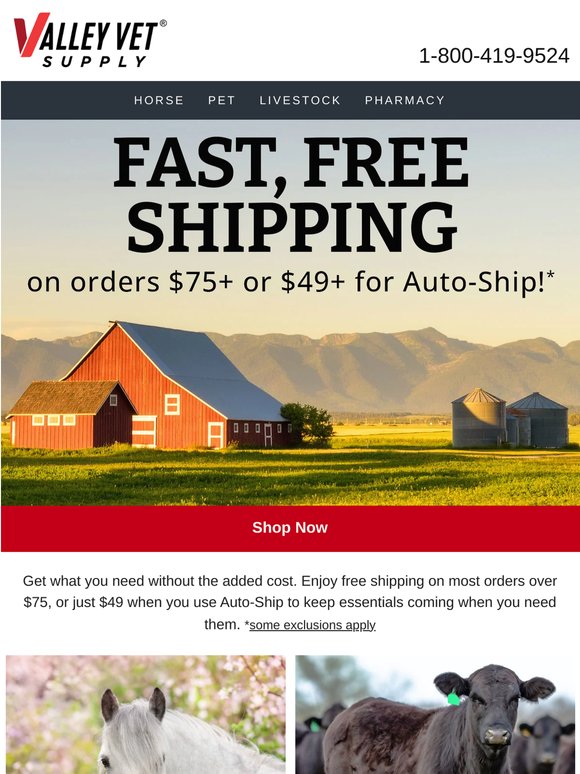 Free Shipping on Orders $75+