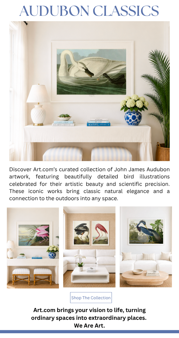 Audubon Classics - Discover Art.com's curated collection of John James Audubon artwork, featuring beautifully detailed bird illustrations celebrated for their artistic beauty and scientific precision.