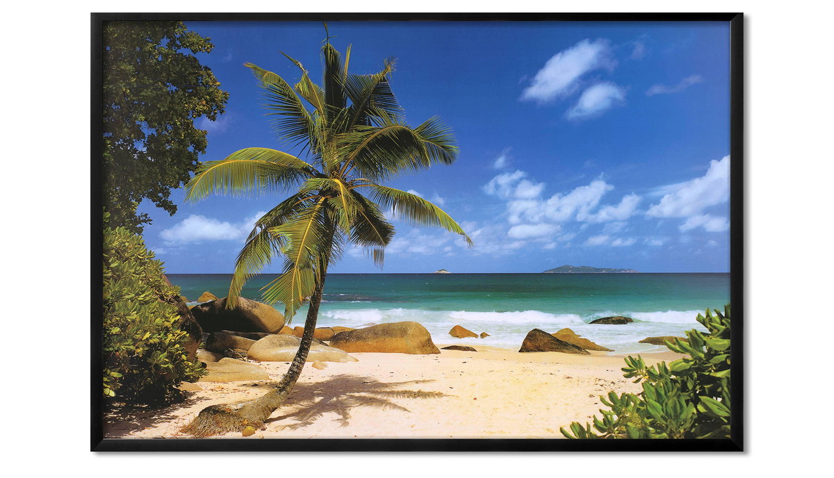 Palm Beach Tropical Landscape