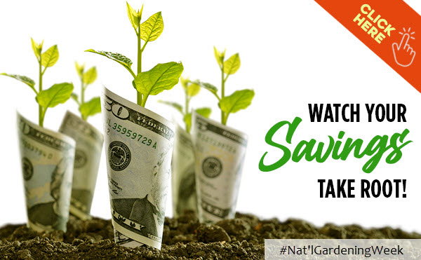 Watch Your Savings Take Root! #Nat'lGardeningWeek - Click Here