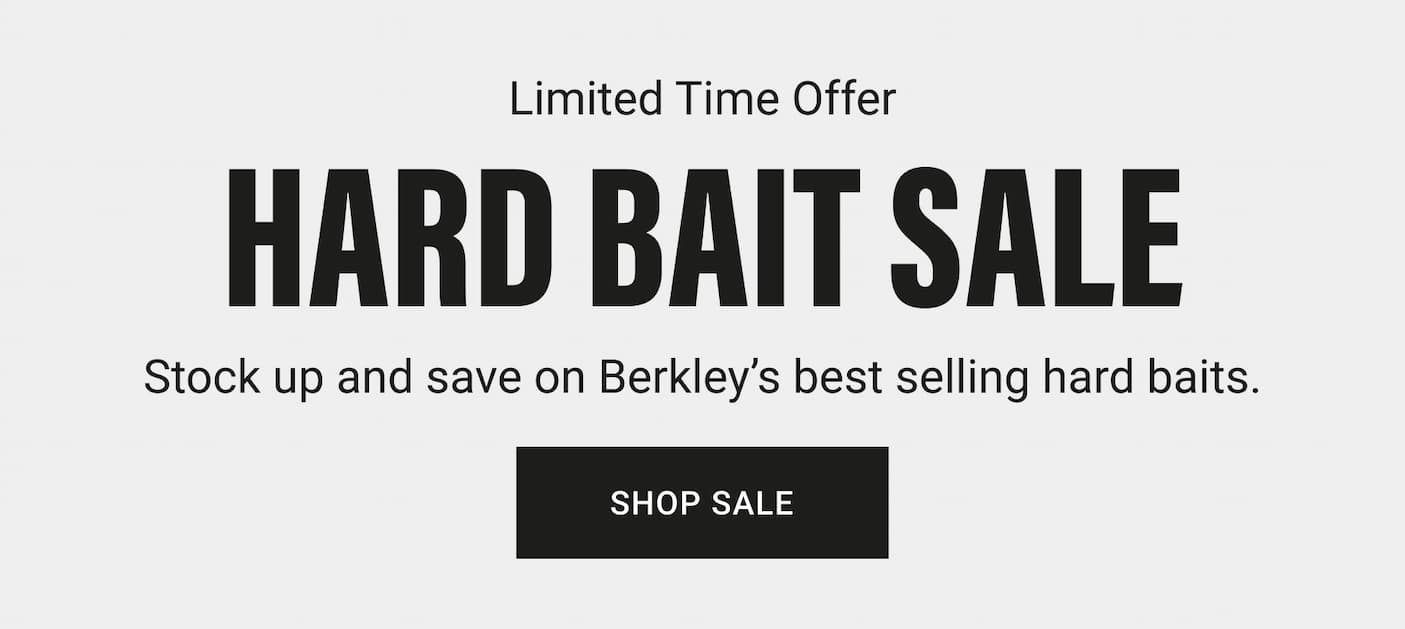 Sale Promo 