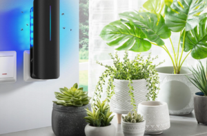 12 popular mosquito-repelling products that actually work