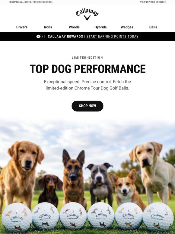 Limited-Edition Chrome Tour Dog Balls