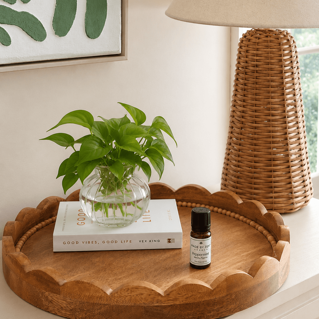 Eucalyptus Oil in Dining room with Eucalyptus plant
