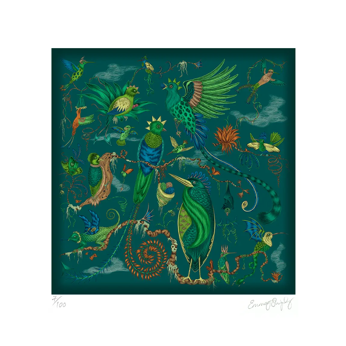 Image of Quetzal Fine Art Print - Teal