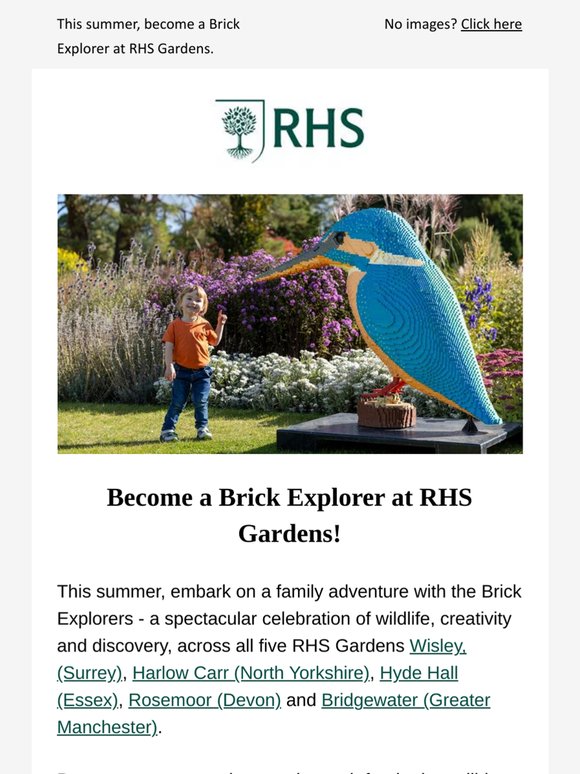 Summer fun at RHS Gardens 🌞