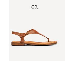 ALGAR W0X-0954 BRANDY