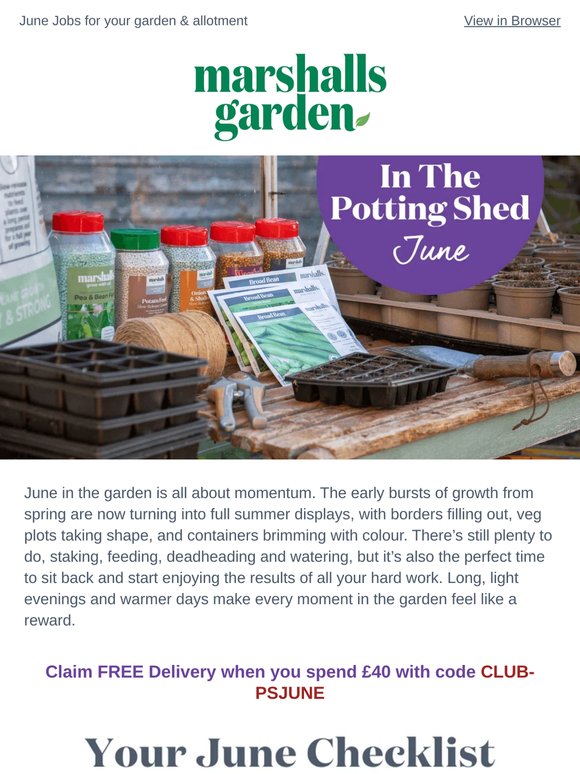 June in The Potting Shed