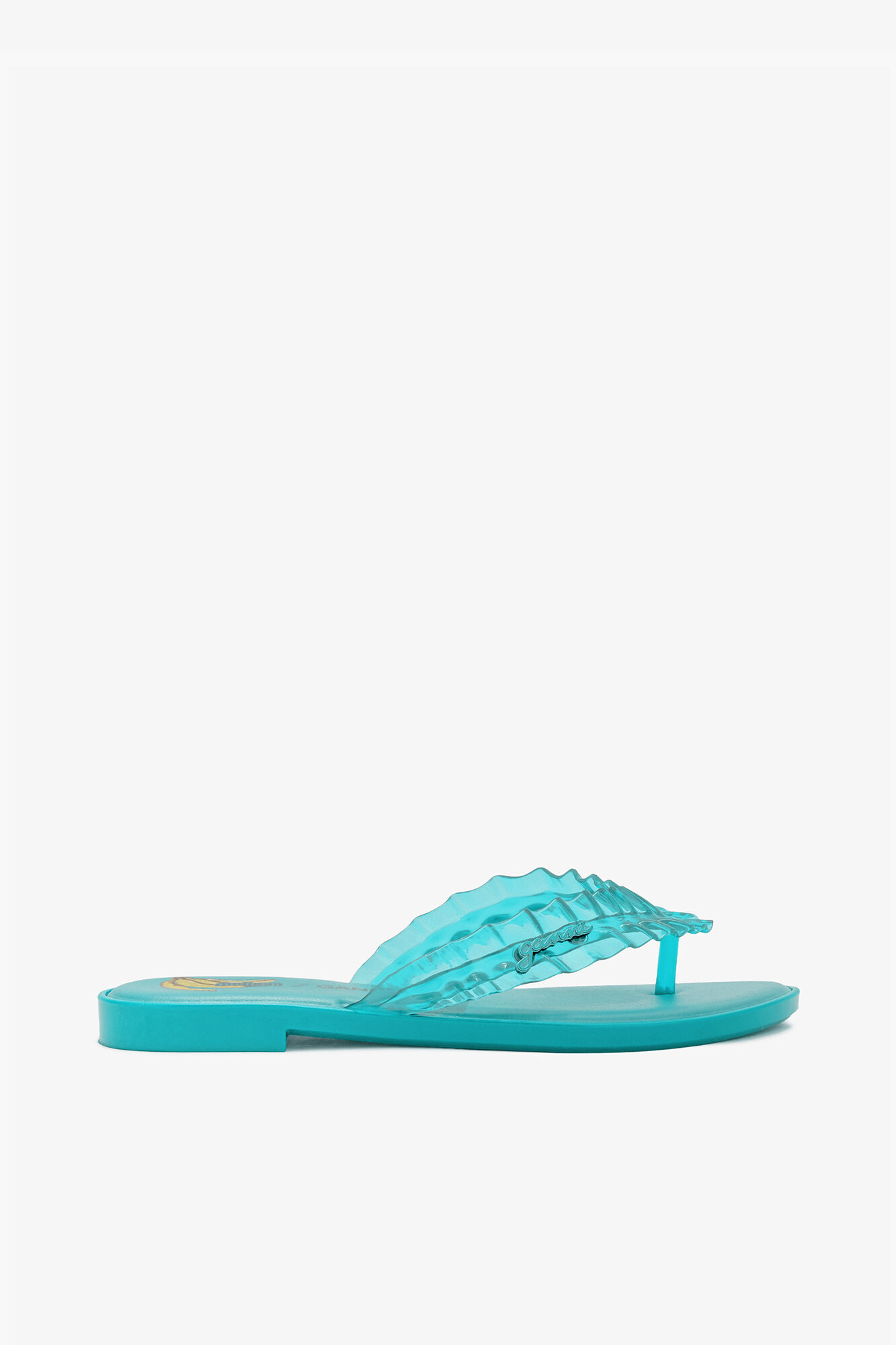 Melissa Flip Flop in Blue
