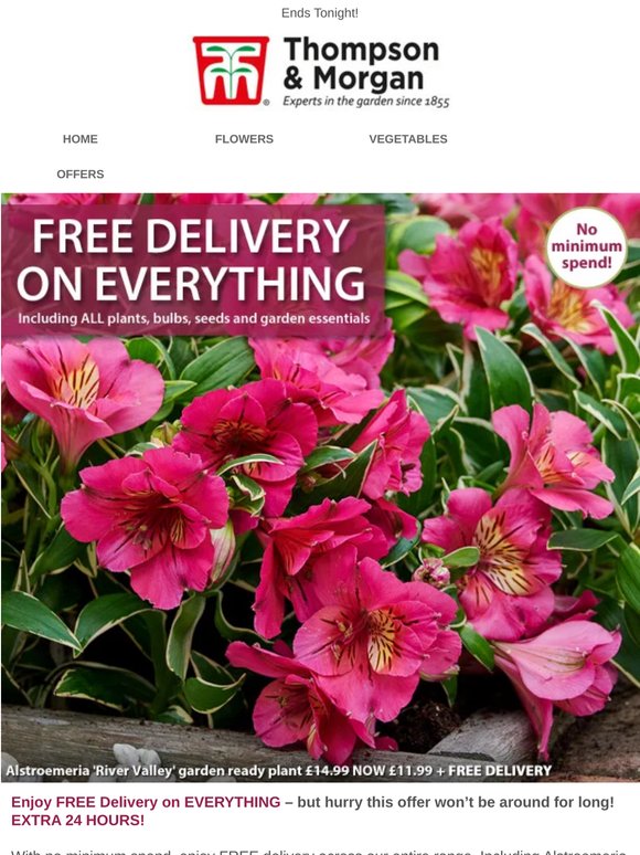 FREE DELIVERY on EVERYTHING - EXTRA 24 HOURS!
