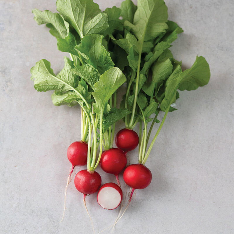 Radishes