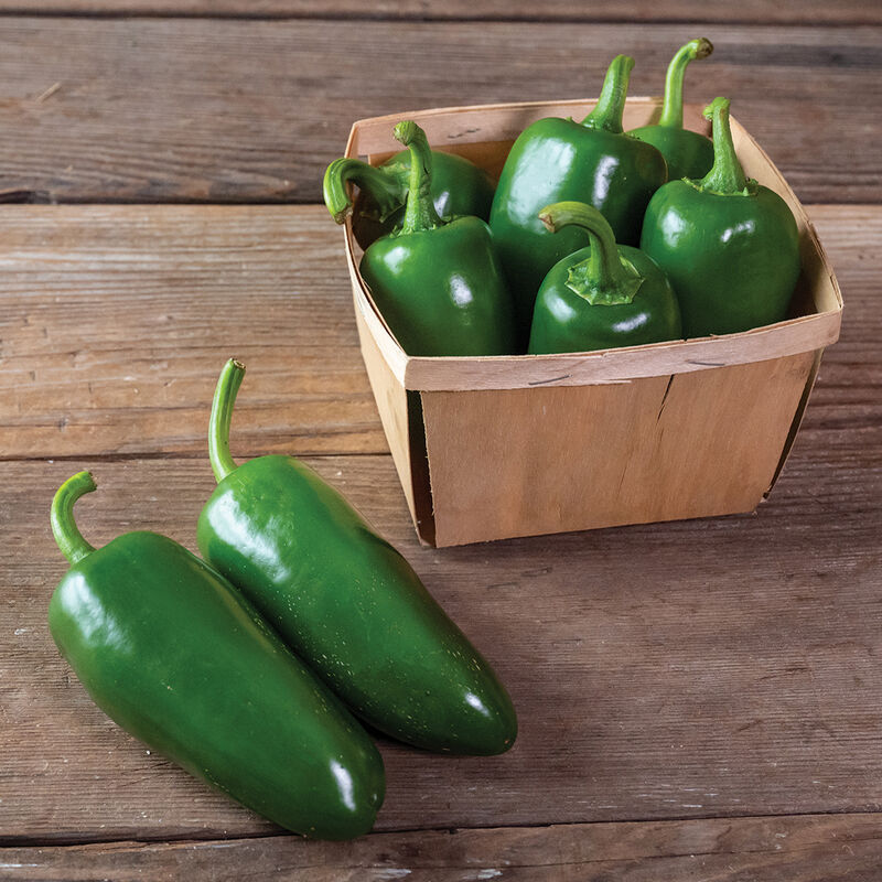 Peppers