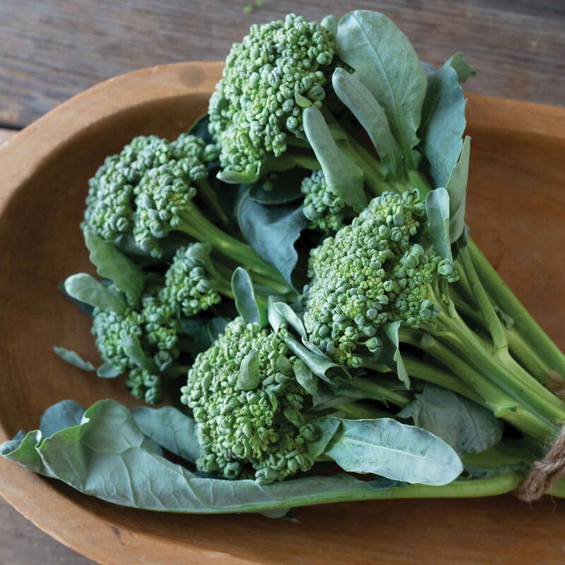 Broccoli