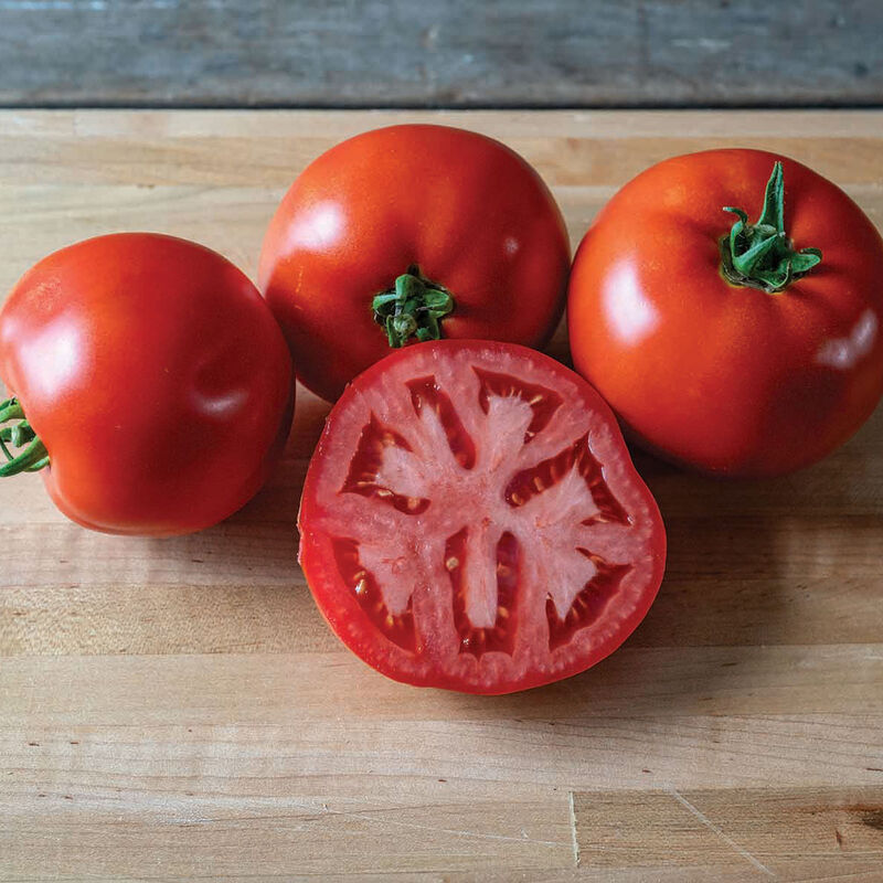Tomatoes
