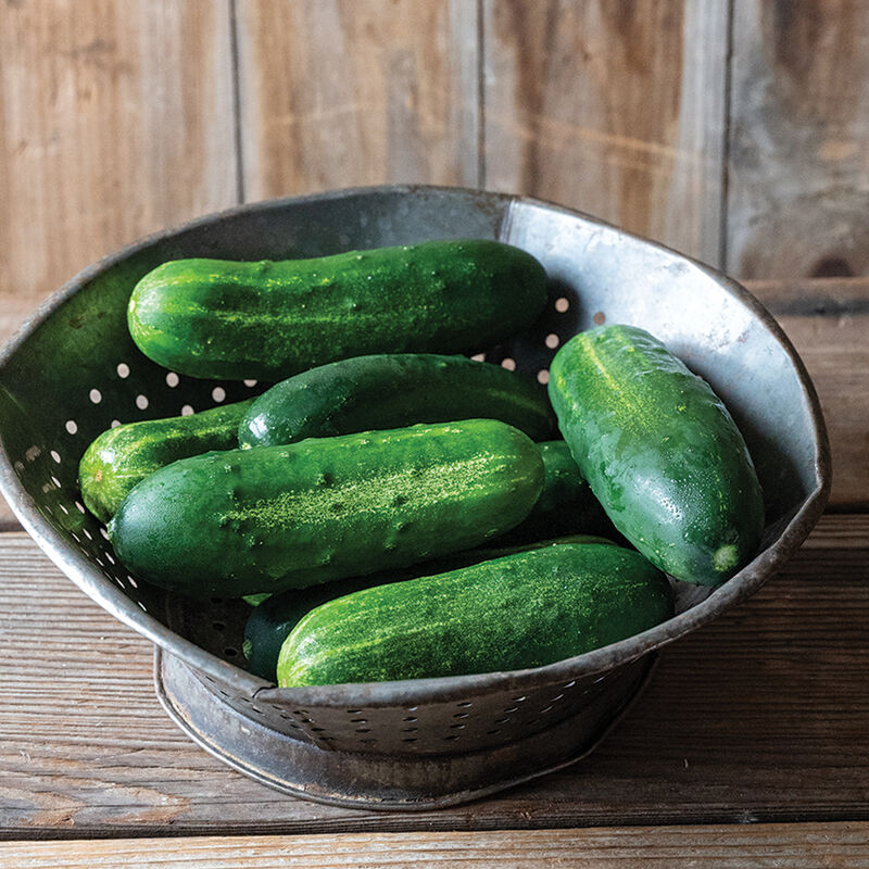 Cucumbers