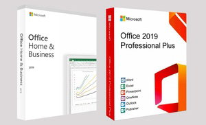 Microsoft Office 2019 Lifetime Deal for Windows or Mac