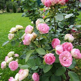 Карточка (33).png