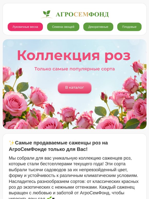 🌹🔥Самые продаваемые саженцы роз 2026 года 👑 -68% Распродажа луковичных  и картофеля – последний шанс! 🌷⏳