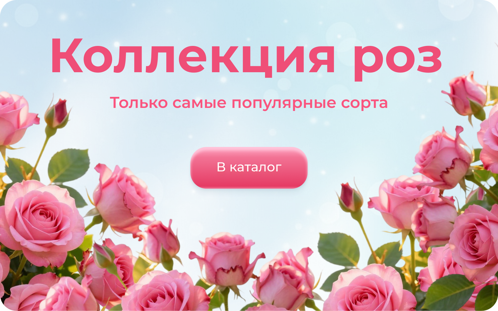 Frame 1367935284.png