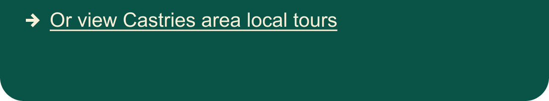 Local Tours