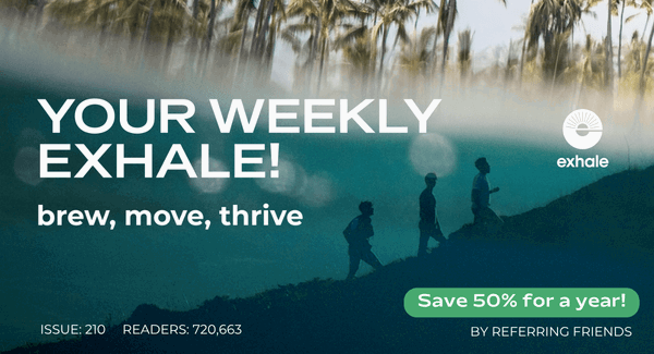 Exhale Healthy Coffee - Weekly Newsletter