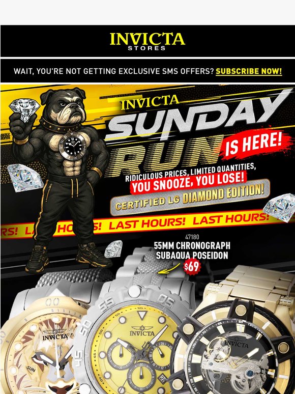 💥STILL RUNNING🐶SUNDAY MADNESS🤑LAST HOURS⚡️
