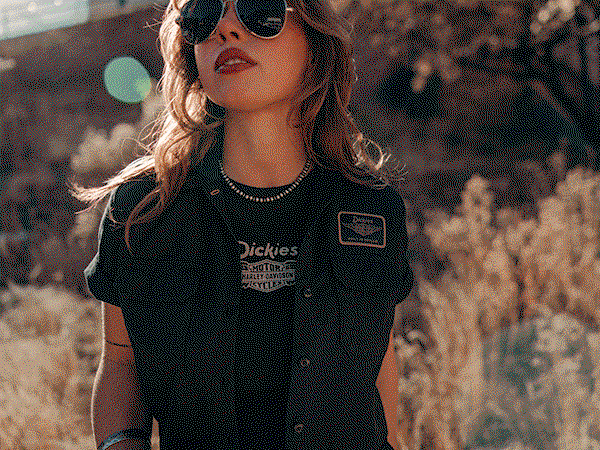 1st_Img_Dickies