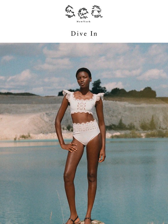 Dive In
