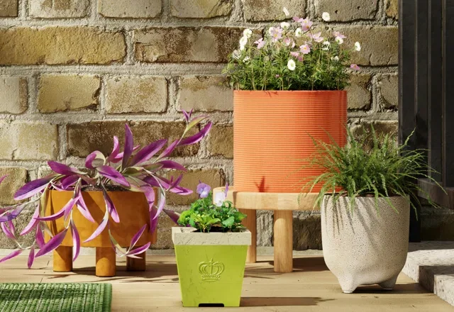 Offers on Planters