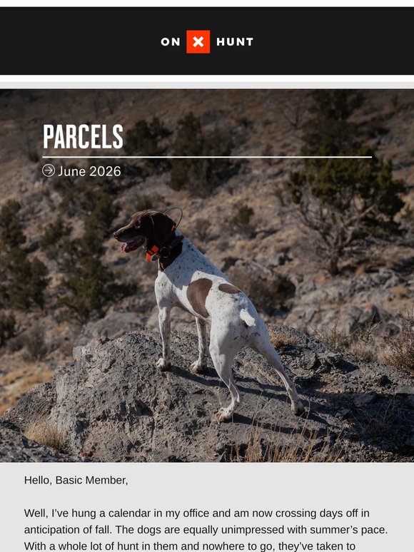 Parcels Vol. 3: Welcome to Waiting Season