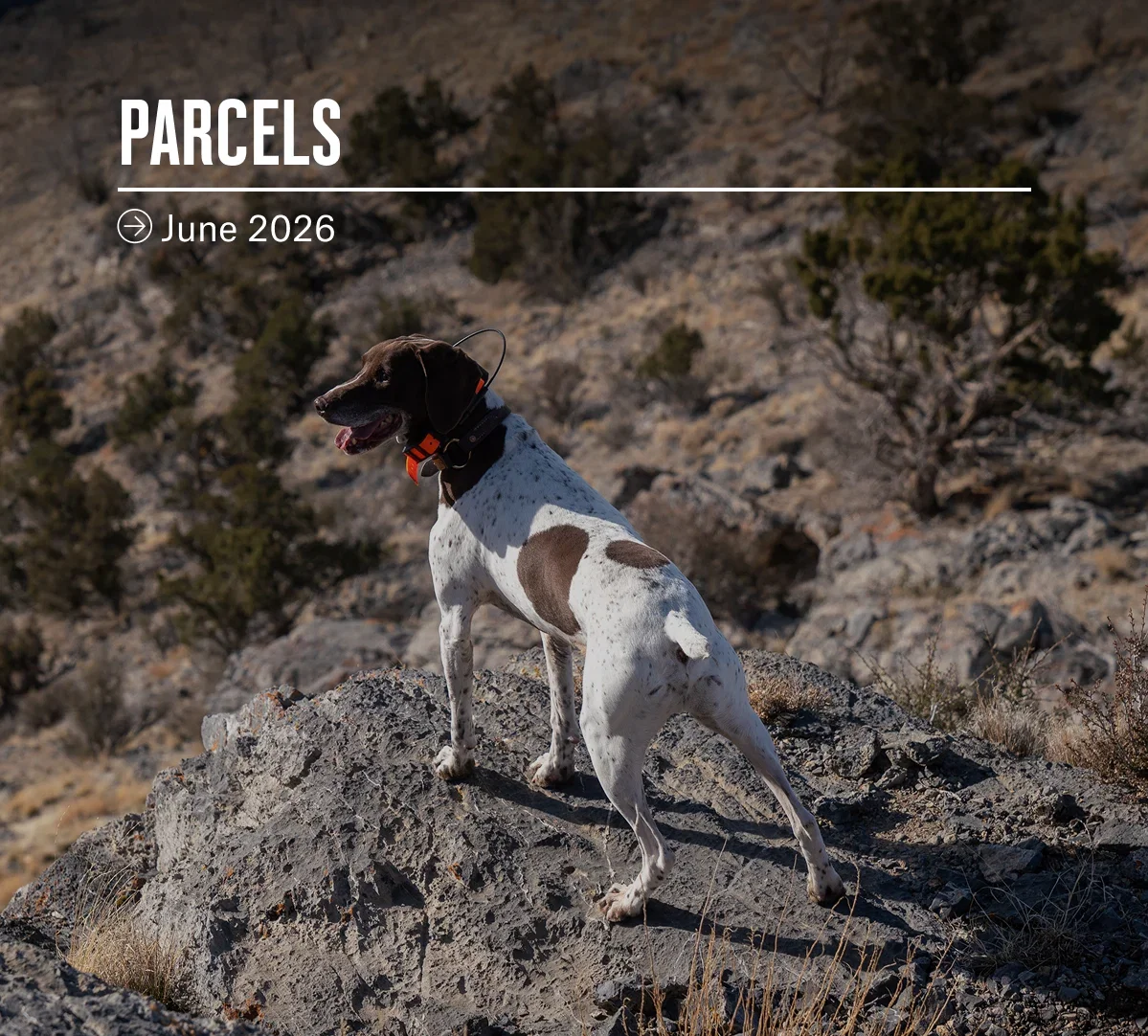 Parcels - June 2026