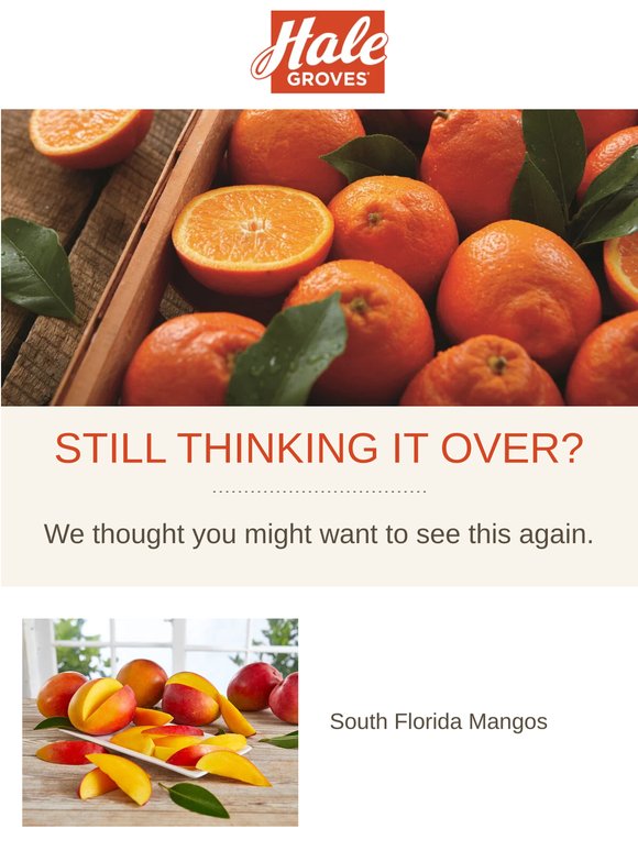 South Florida Mangos is worth another look (Trust us)