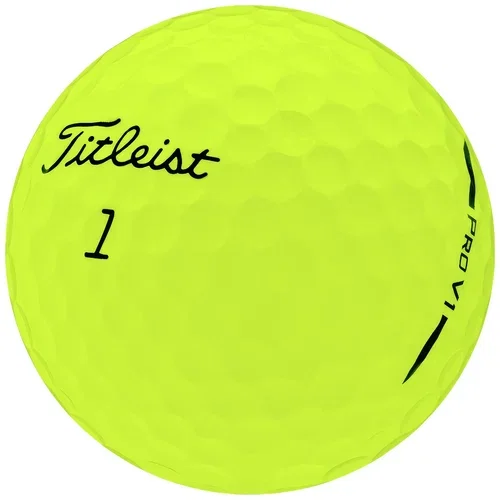 ti-prov1_2025_yellow_0000_color_fill_2_copy_3_1