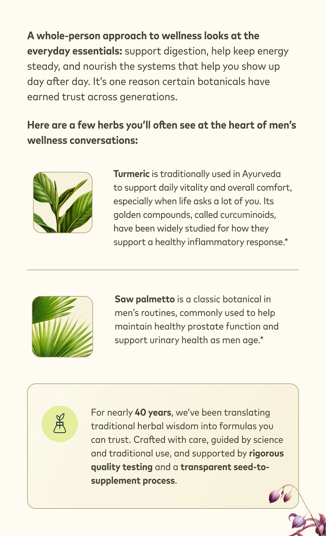 Turmeric and Saw Palmetto