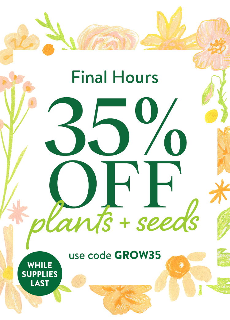 Last Call For Spring Plants