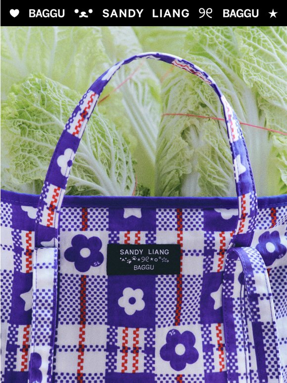 Coming Soon: BAGGU x Sandy Liang