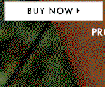 Buy Now