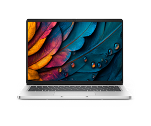 Dell Pro 14 Laptop