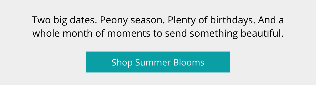 Shop Summer Blooms