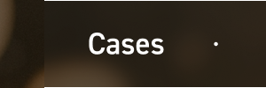 Cases