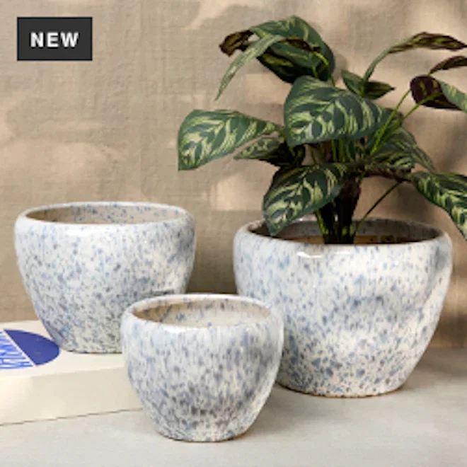Thread Office Stormy Sea Reactive Glaze Belly Planters, Set of 3