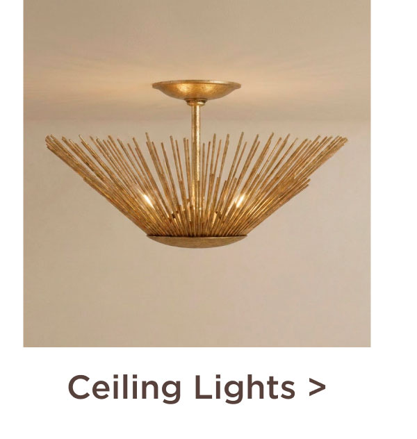 Ceiling Lights >