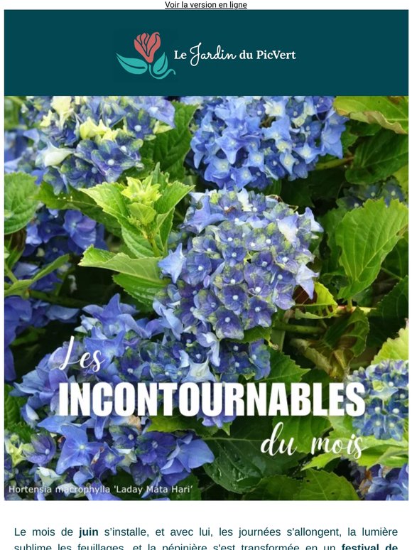 Les Incontournables du mois : découvrez  les plus belles plantes de la pépinière en ce moment ! ❤️