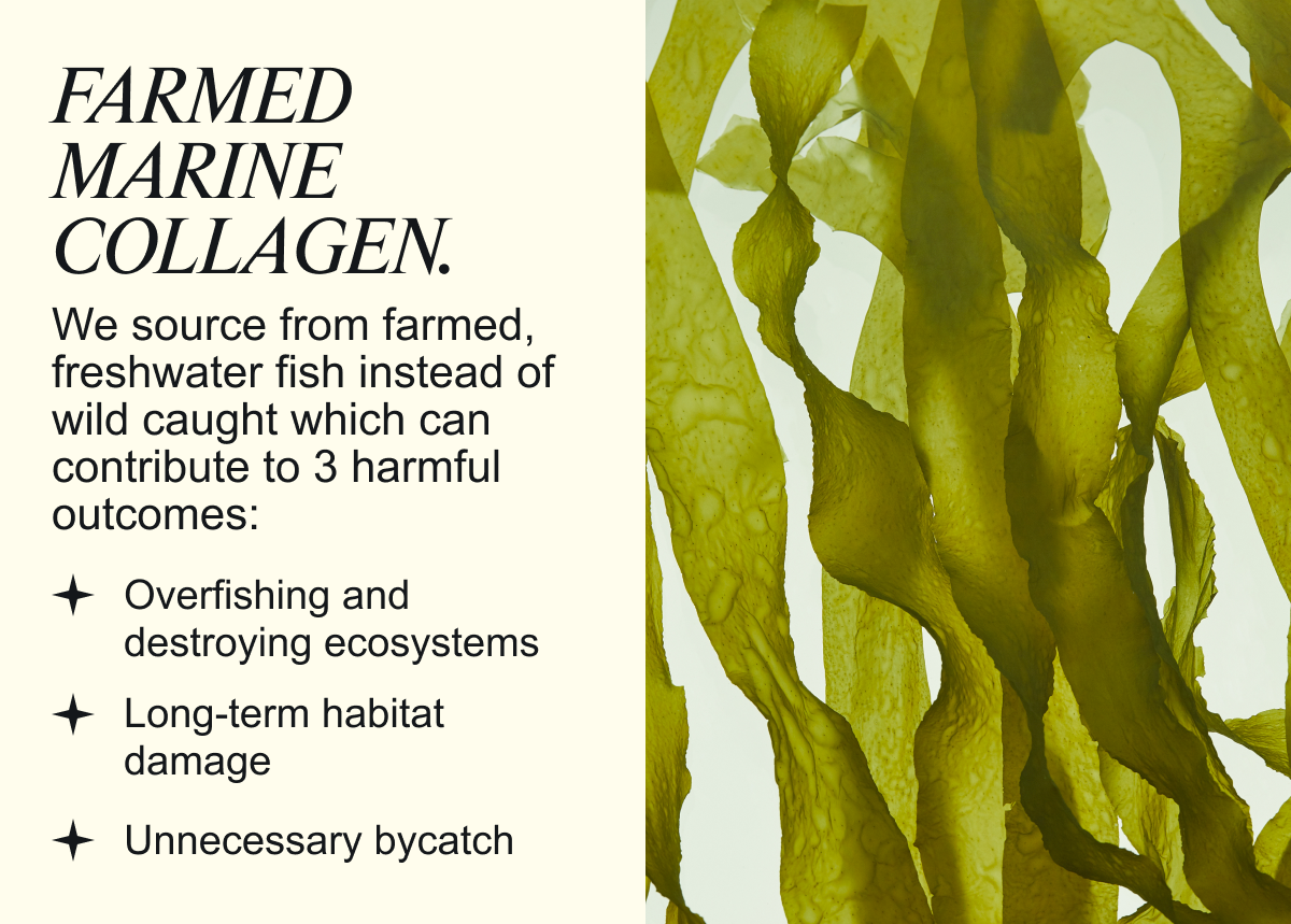 Farmed Marine Collagen