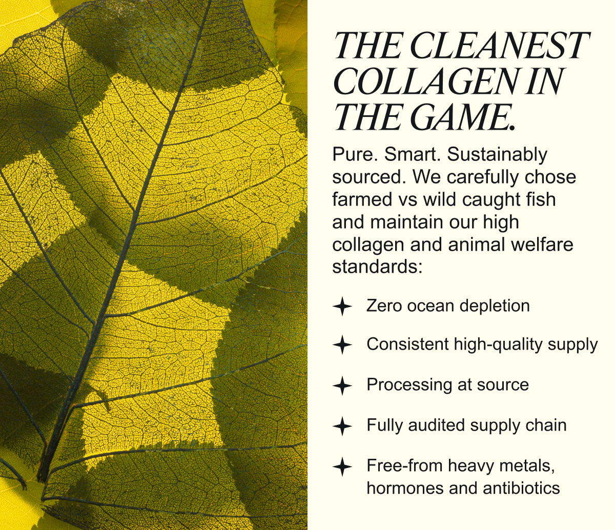 Cleanest Collagen in the game 